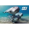 Try Scuba - Schnuppertauchen Gutschein